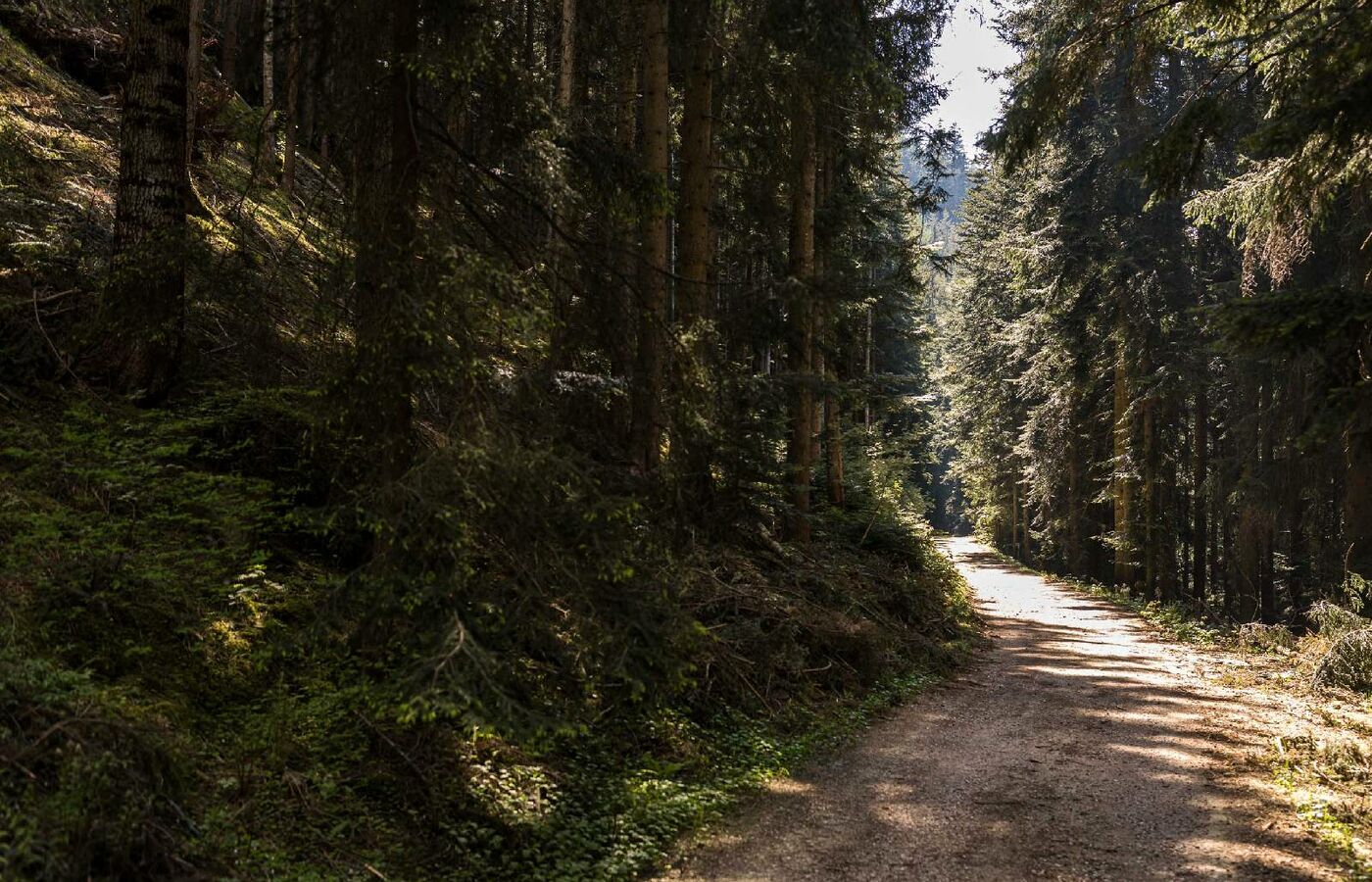 Steinegger Höhenwanderweg 