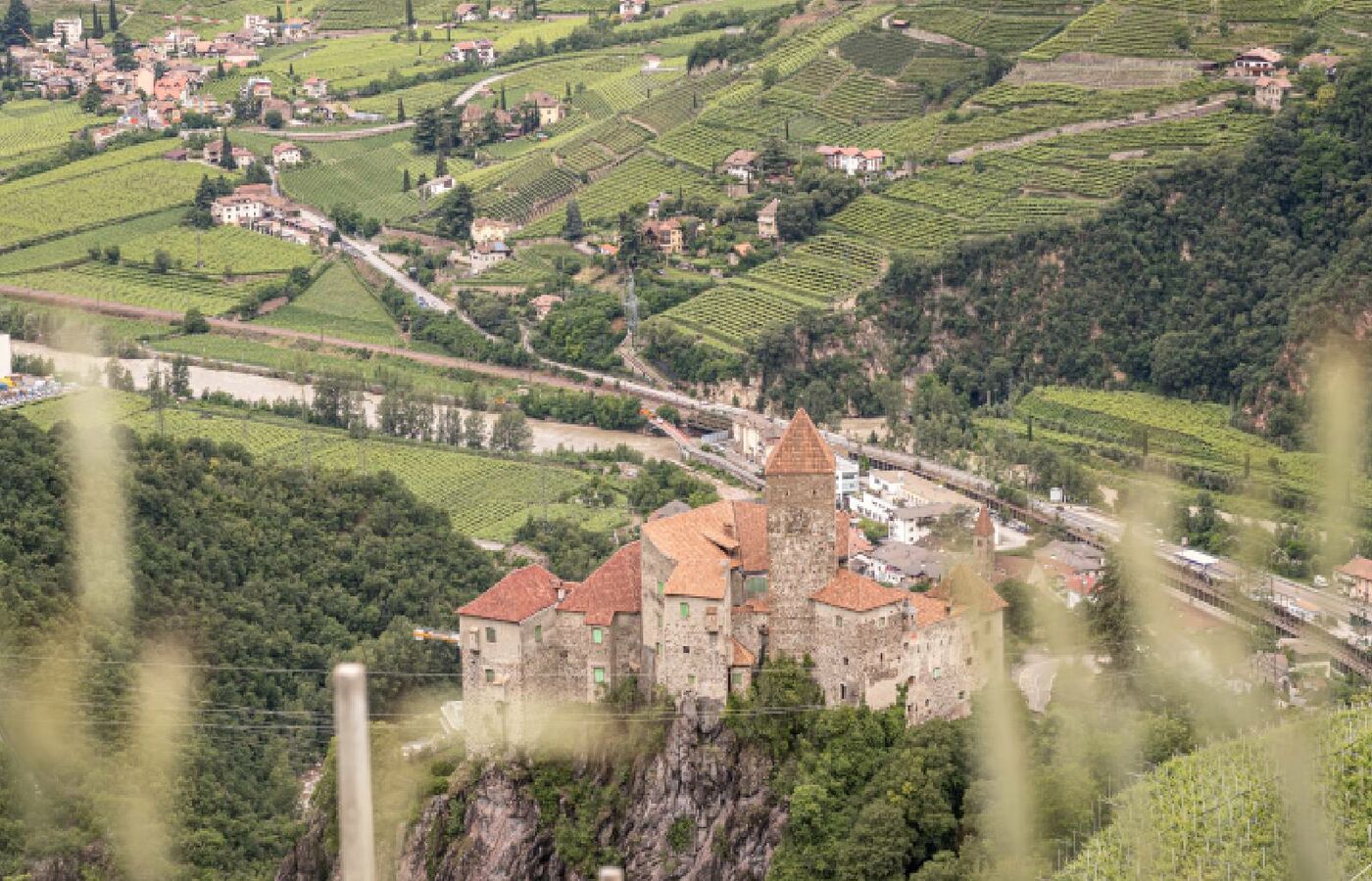 Wiedenhof