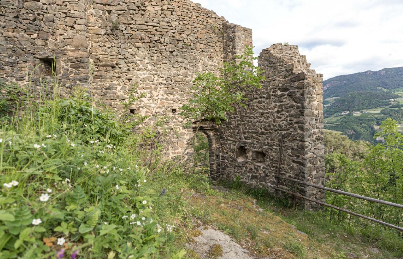 Burgruine Steinegg