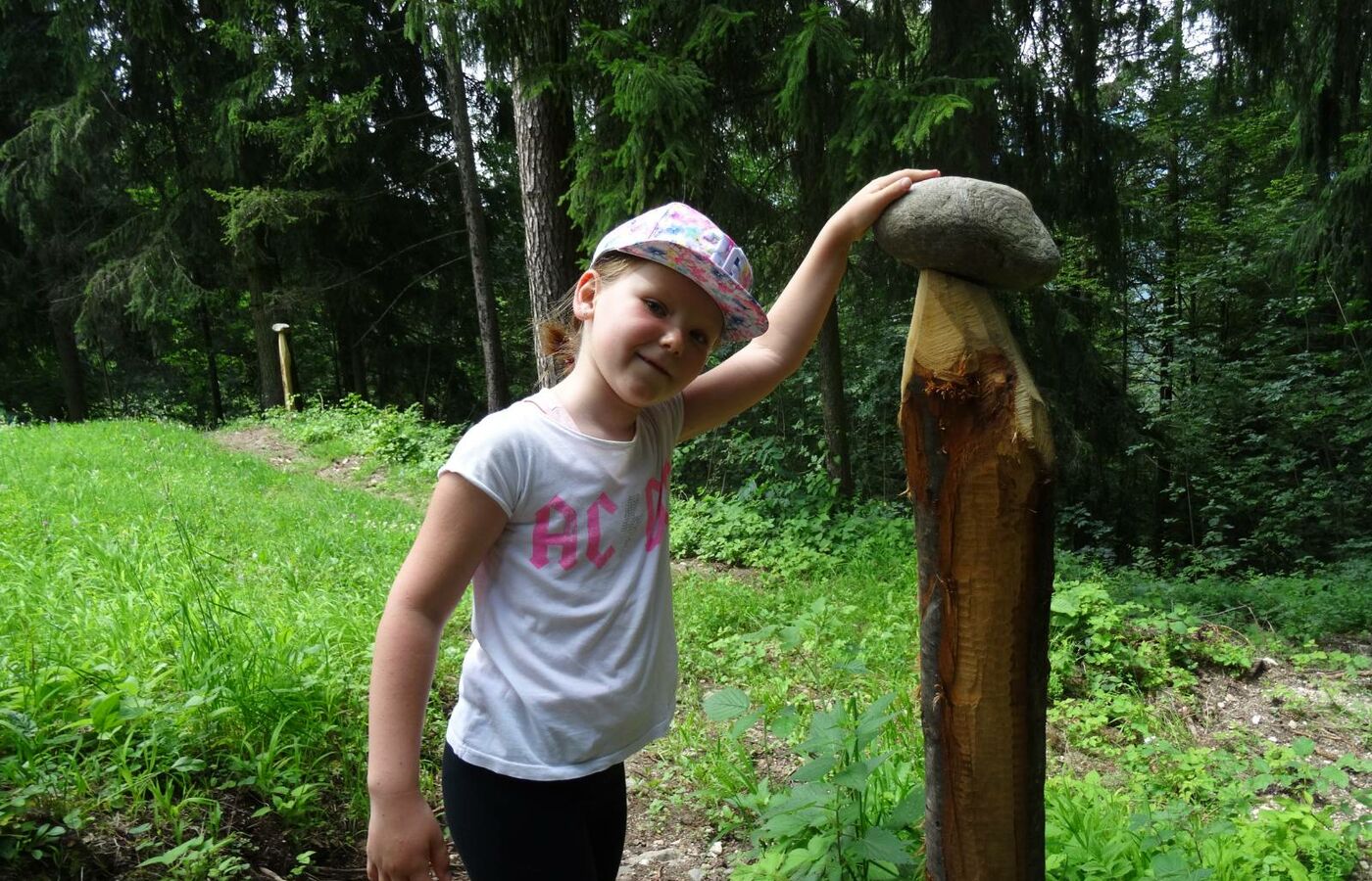 Erdpyramidenweg in Steinegg 