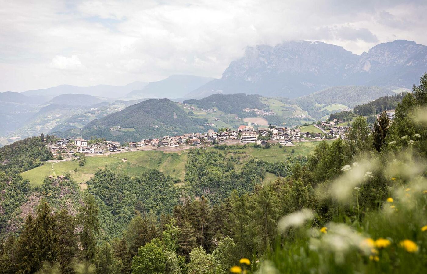 Wiedenhof