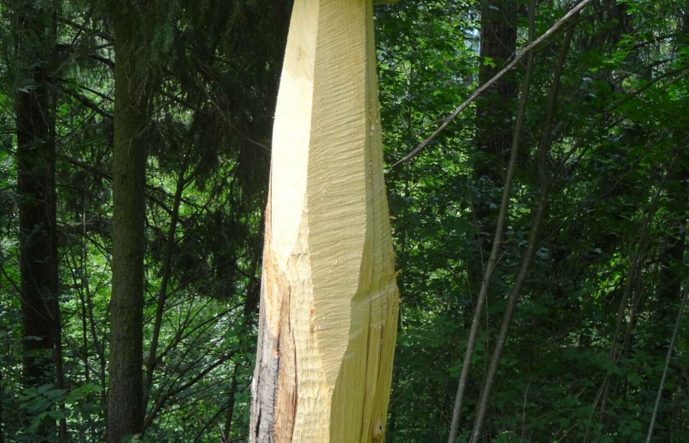 Erdpyramidenweg in Steinegg 