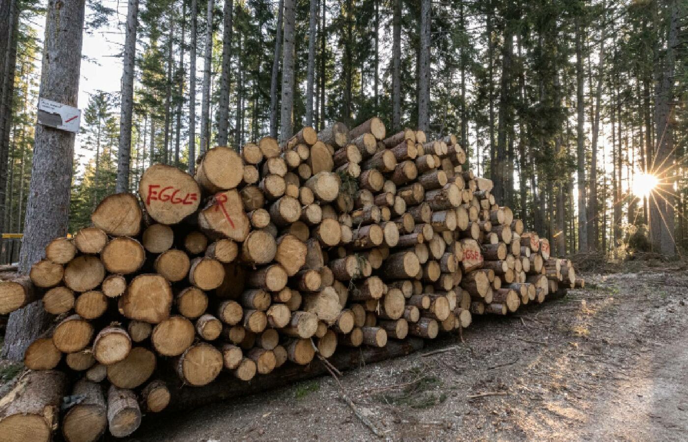 Steinegger Höhenwanderweg 