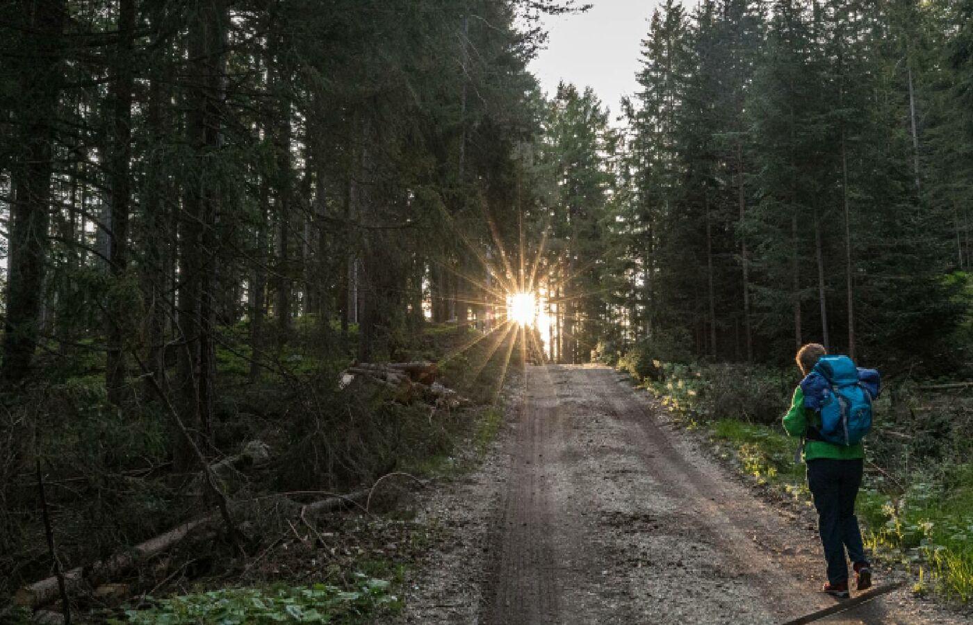 Steinegger Höhenwanderweg 
