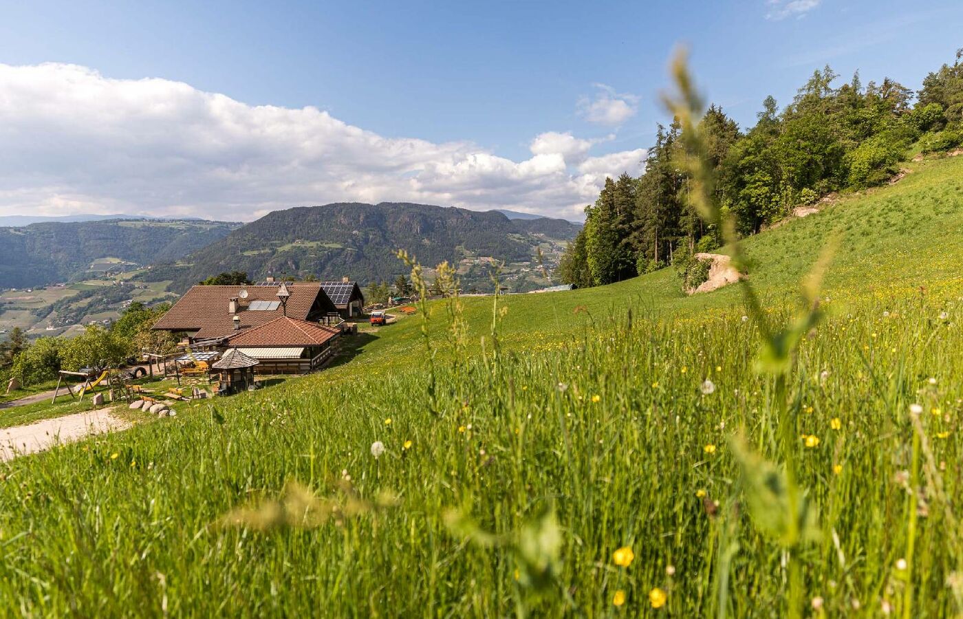 Wiedenhof