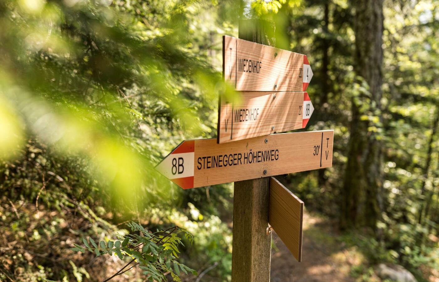 Steinegger Höhenwanderweg 